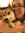 Ella Sloat | 17 comments