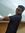 Pranay ...