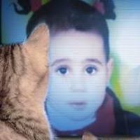 علاء الحريرى