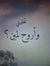 منير سابع