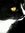 Meredith