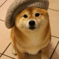 Daniel Westbye Gjermundstad