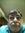 Hamid S...