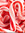 Candy Cane