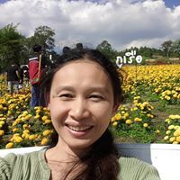 มณฑินี บี