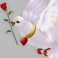 سحر الافندي