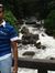 Asraf Ali