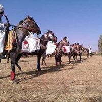 عبدالسلام عمران