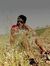 Gokul