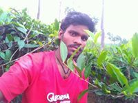 Rajesh Ars