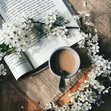 Lectora Lectora