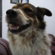 Vee
