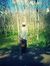 Lutfi Alwi