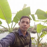 রাশেদ খান