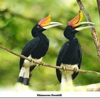 ခ်စ္ ရုဏ္