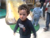 AL Watania