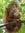 Zoey the Squirrel (ZoeytheSquirrel) | 1 comments