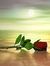 Lalitha...