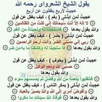 المهندس صلاح