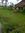 Yagnesh