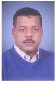 Waleed Hassan