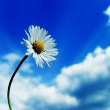 عبدالله الأمين