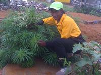 Bongane Mabhotesa