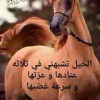 ايمن الخياط