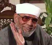 د.السيد البلتاجى