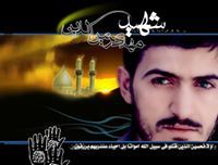 مهدي زين الدين