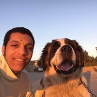 Alaa Bassem