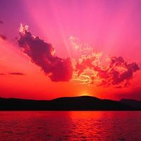 محمد المفترس