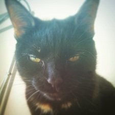 Mateusz