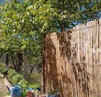 سهيلة آية الرحمن