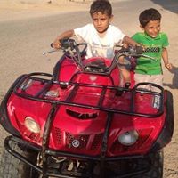 محمد ابو الخير