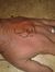 Ramy Seyam