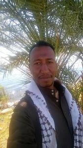 Mr-Mahmoud Aowny