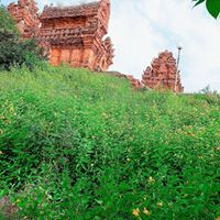 Hằng Trương