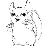 Փափուկ Շինշիլա