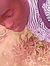 Taiwo T...