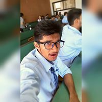 Subhash Saresa