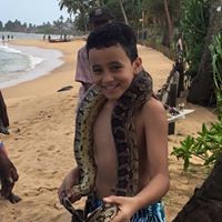 Mohammad Abughwaileh