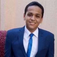 Ahmed L Sharawy