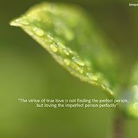 ছেঁড়া তার