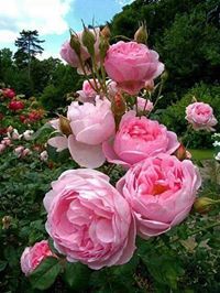 مدونة.علاء جاسب