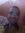Ahmed A...