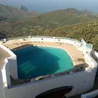 بدرالدين شاعة