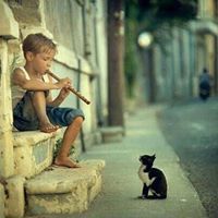 مصطفى الإدريسي