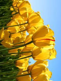 عبدالعظيم عبدالجليل