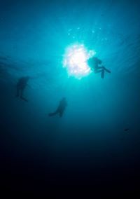 Mufaddal Zanzibarwala